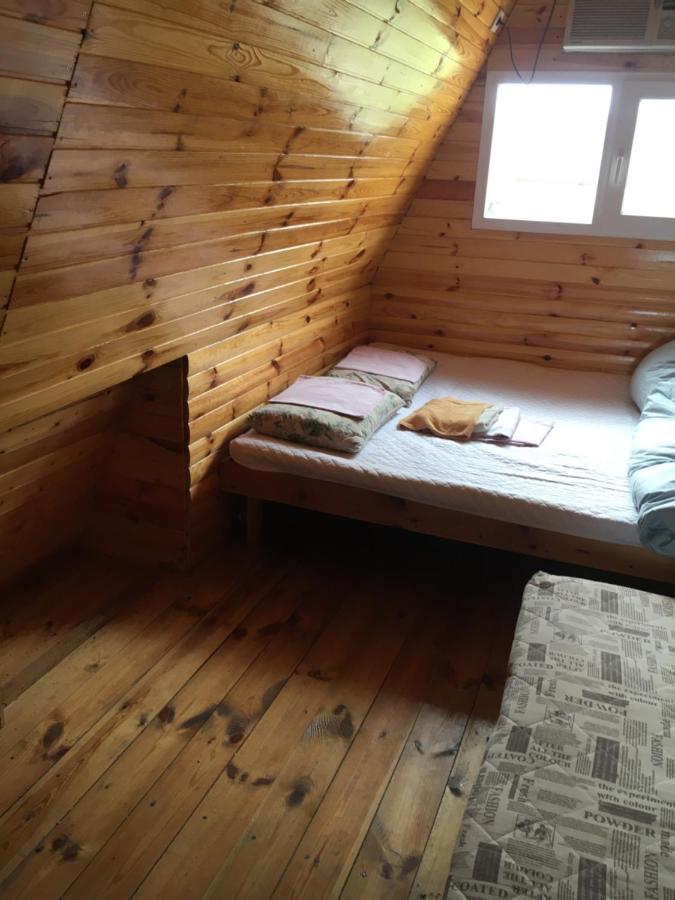 Hotel Номера В Деревянных Домиках Fontanka Esterno foto